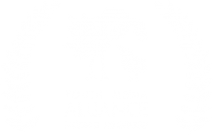Youth-Media-Alliance-Award